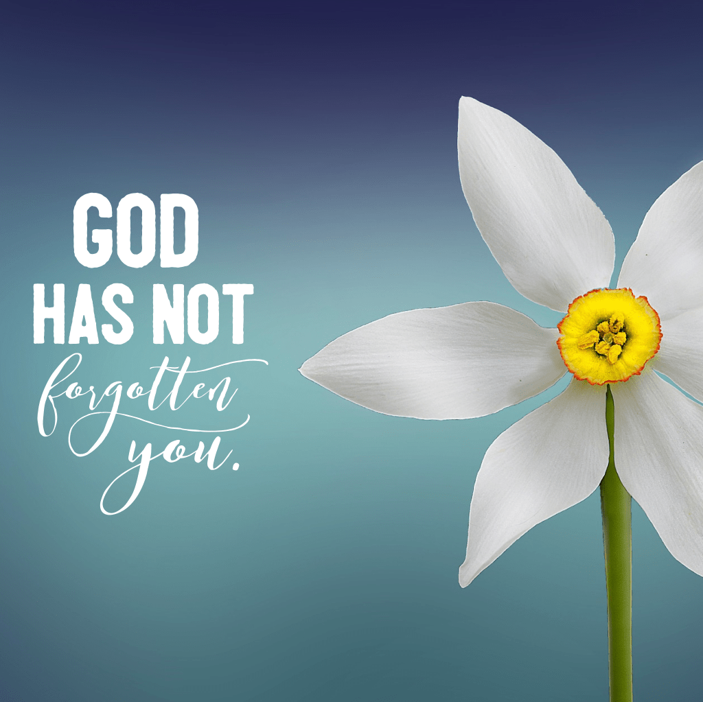 God has not forgotten&nbsp;you.