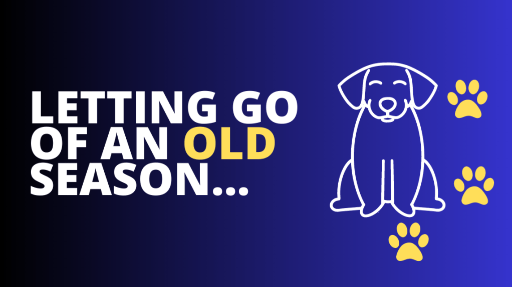 Letting go of an old&nbsp;season…